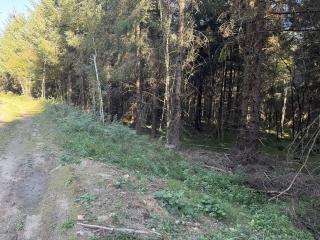 haut-languedoc - LACAUNE-LES-BAINS - COL DE PICOTALEN-REDOUNDEL