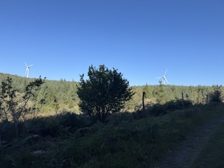 LACAUNE-LES-BAINS - COL DE PICOTALEN-REDOUNDEL-tarn
