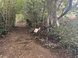 haut-languedoc - LACAUNE - SUR LES TRACES DE L ENFANT SAUVAGE