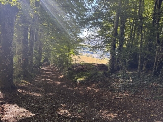haut-languedoc - LACAUNE - PARC DE CALMELS