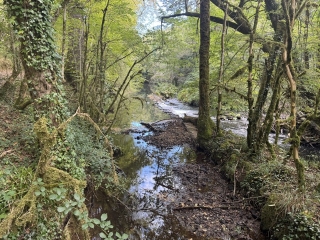 LE TRAVET - LA VALLEE SAUVAGE DU DADOU-tarn