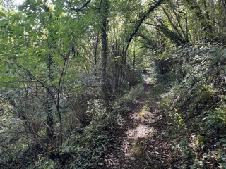 haut-languedoc - GIJOUNET - SENTIER DE LA GRIFOULETTE
