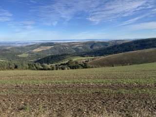 LA TRIVALLE - PUECH DE CABANNE-tarn