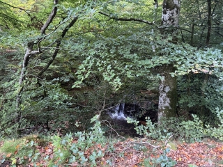 haut-languedoc - LACAUNE - EN SUIVANT L ENFANT SAUVAGE