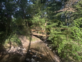 LISLE-SUR-TARN - OMBRAGES ET PAYSAGES