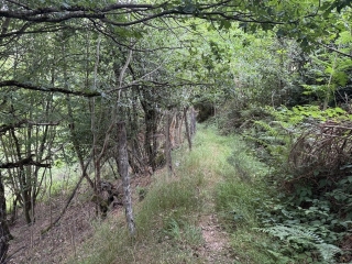 RAYSSAC - CAMIN DE LA VOLTA-tarn
