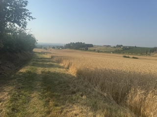 GAILLAC - OENORANDO CHEMIN DE POMPIRAC-tarn