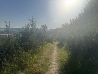 SAINT-MARCEL-CAMPES - CHEMIN DU GRAIN DE SEL-tarn