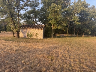 MILHAVET - OENORANDO-DE LA VIGNE A L OLIVIER