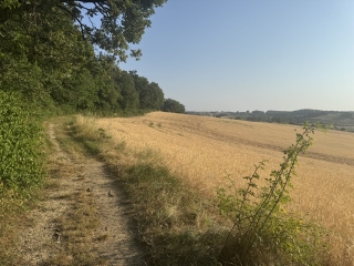 GAILLAC - OENORANDO LA RONDE DES VIGNERONS-tarn