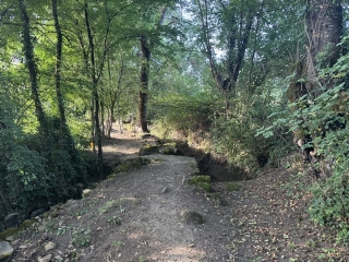 LES CABANNES - SUR LES TRACES DES BATISSEURS-tarn