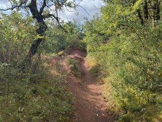 LABARTHE-BLEYS - SENTIER DE MARAVAL-tarn