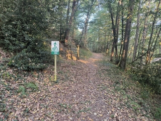 LACAZE - PARCOURS DE SANTE 1-tarn