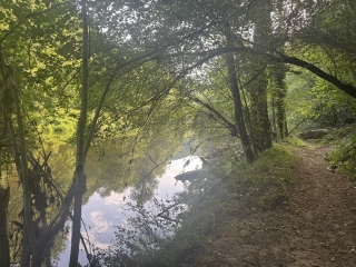 MIRANDOL-BOURGNOUAC - SENTIER DE CAZOULS-tarn