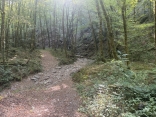 MIRANDOL-BOURGNOUAC - SENTIER DE CAZOULS-tarn