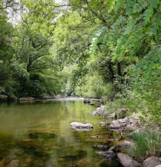 PAMPELONNE - SENTIER DES CRETES-tarn