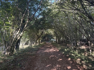 ARFONS - LE SENTIER DES FONTAINES-tarn