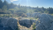 ARFONS - LE SENTIER DE LA CROIX DE MONTALRIC-tarn