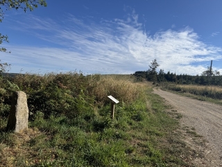 ARFONS - SENTIER DES BORNES MEDIEVALES-tarn