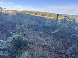 ARFONS - SENTIER DES BORNES MEDIEVALES-tarn