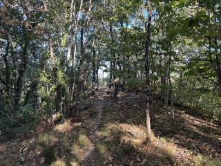 TREBAS - SENTIER DES RIVES-tarn