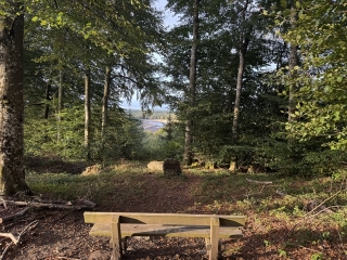 ARFONS - LE SENTIER DES BORNES DOMANIALES-tarn