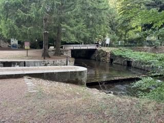 ARFONS - LE SENTIER DES BORNES DOMANIALES-tarn