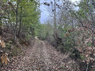 VILLEFRANCHE D ALBIGEOIS - SENTIER DE YOLE A YOT-tarn