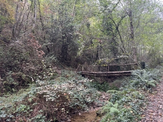 VILLEFRANCHE D ALBIGEOIS - SENTIER DE YOLE A YOT-tarn