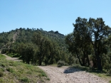 LE VIEUX REVEST-var