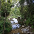 COTIGNAC ET LA FORET DU BESSILLON-var