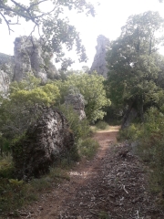 MONTRIEUX / AIGUILLES VALBELLE.-var