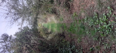 BUISSON -VILLEDIEU-vaucluse