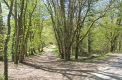 AUREIL – SENTIER DU PIGEONNIER-haute-vienne