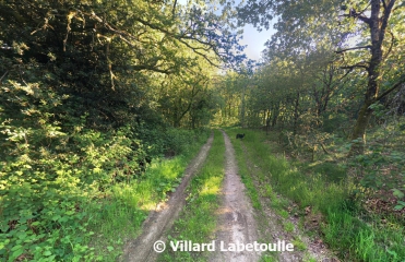 BLOND – LE CIRCUIT DES CîMES-haute-vienne