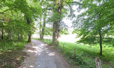 BOISSEUIL - LE SENTIER DE GASCOUR-haute-vienne