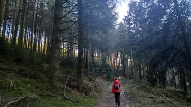 LA COURRIèRE-haute-vienne