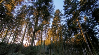 LA COURRIèRE-haute-vienne