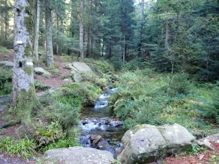 TOUR DE LA COMMUNE DU SAULCY-vosges