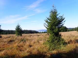 MOUSSEY : LES ROUGES TERRES ET LES HAUTES CHAUMES-vosges