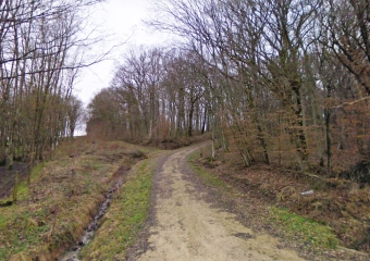 AMBACOURT – SENTIER DE MADON-vosges