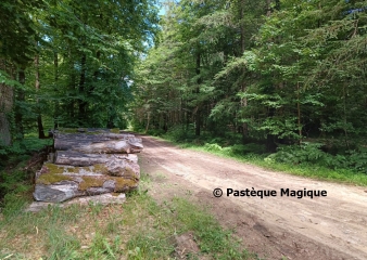 DOMPAIRE – CIRCUIT COURT DE DOMPAIRE-vosges