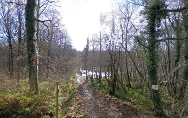 AUTRECHENE - CIRCUIT DES AUTRES CHêNES-territoire-de-belfort