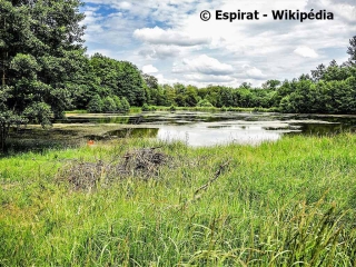LAGRANGE - SENTIER DéCOUVERTE DES ESPACES NATURELS-territoire-de-belfort